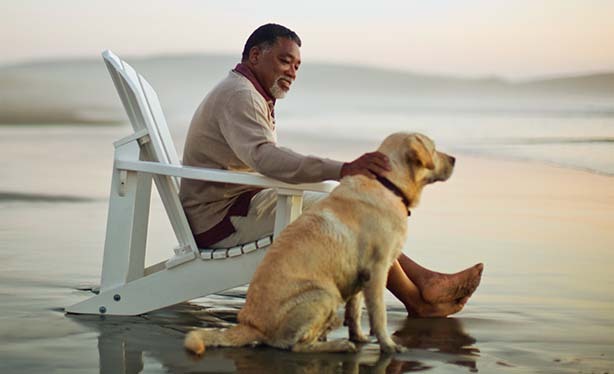 Man and dog on beach