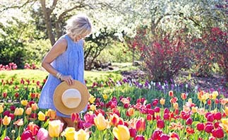 Woman in tulip field